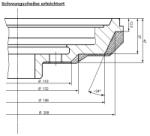Erleichterte Schwungscheibe