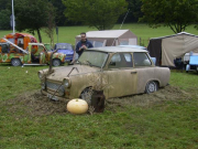 Aufregung um diese Ratte