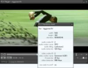 Freeware FLV-Player